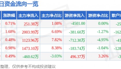 股票行情快报：大众公用（600635）9月11日主力资金净买入251.38万元