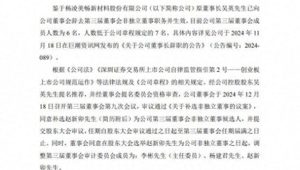 隆基也成黄埔军校了？美畅股份补选90后董事，曾任职隆基