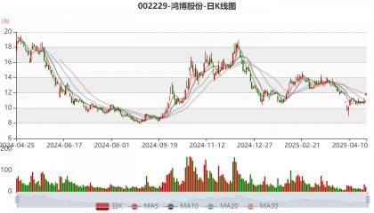 鸿博股份：2024年亏损2.93亿元