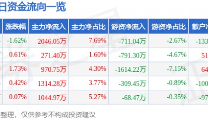 股票行情快报：太阳纸业（002078）12月13日主力资金净买入2046.05万元