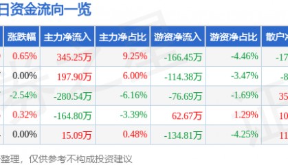 股票行情快报：陕西黑猫（601015）2月20日主力资金净买入345.25万元