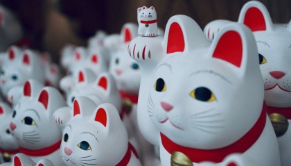 通俗易懂的期权交易指南