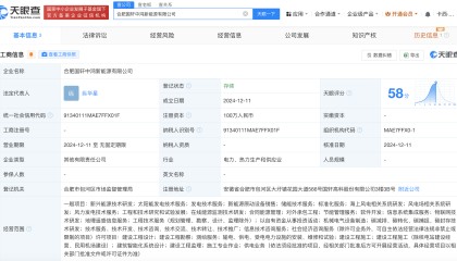 国轩高科等在合肥成立新公司