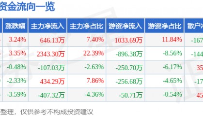 股票行情快报：赤天化（600227）5月6日主力资金净买入646.13万元