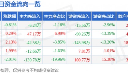 股票行情快报：金科环境（688466）6月26日主力资金净卖出6.24万元