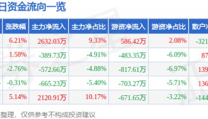 丹化科技（600844）12月6日主力资金净买入2632.03万元