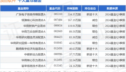 11月4日顶点软件涨7.95%，广发电子信息传媒股票A基金重仓该股