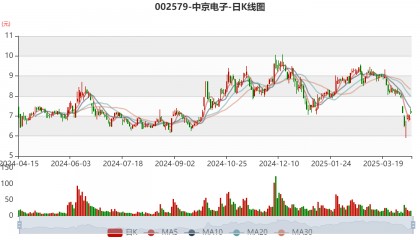中京电子：2024年亏损8247.13万元