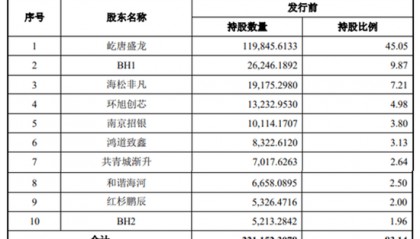 半导体龙头来了！中签率可能较高