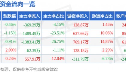 股票行情快报：ST中泰（002092）1月2日主力资金净卖出369.29万元