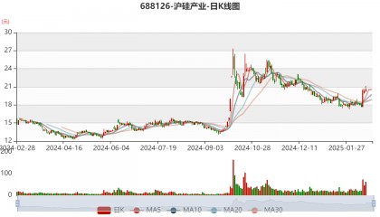 沪硅产业：2024年亏损9.71亿元