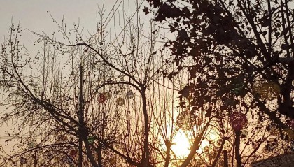 玩股票，无需太深奥的知识