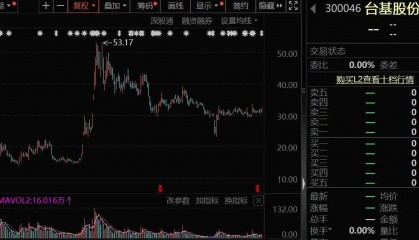 隆盛策略股票杠杆功率半导体龙头，资产超2500亿元的国资入主