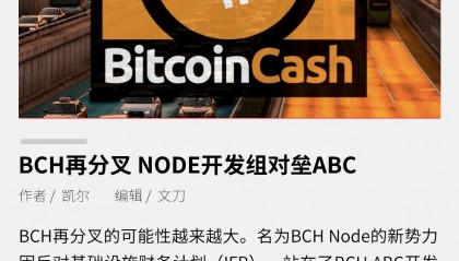 BCH交易所交易平台(bcex交易所app官网)