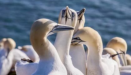 科创板公司掌门人寄语“科创板八条”一周年