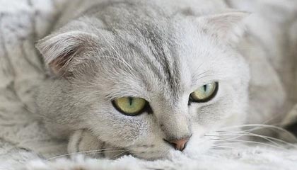 泰豪科技:拟发行股份购买泰豪军工27.46%股权 股票复牌