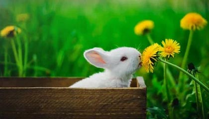 每周股票复盘:国科军工(688543)2024年营收增长15.78%