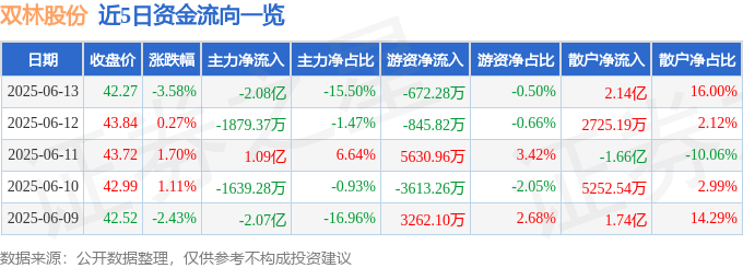股票行情快报：双林股份（300100）6月13日主力资金净卖出2.08亿元