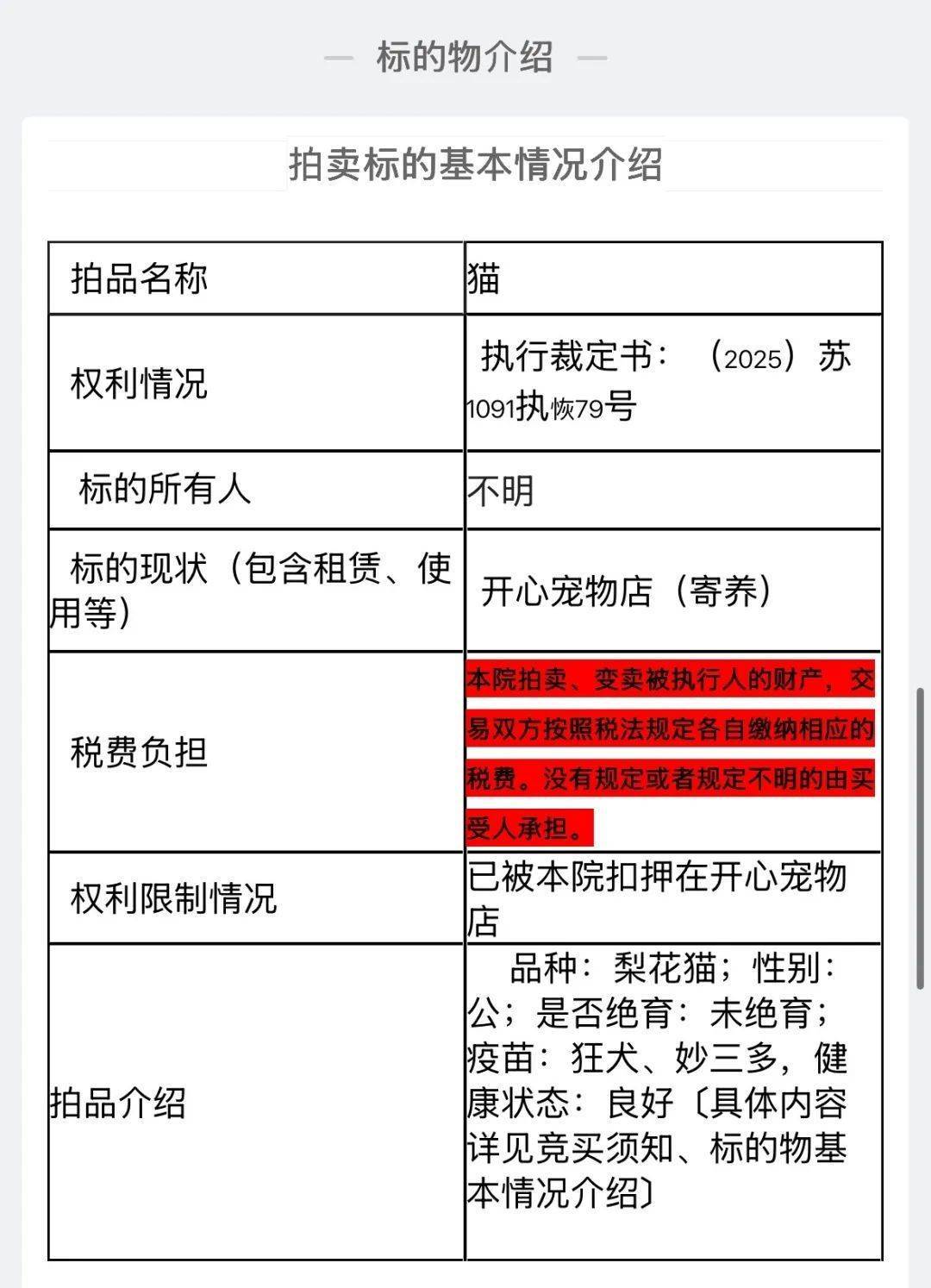 江苏一法院拍卖一只狸花猫，为主人抵债！