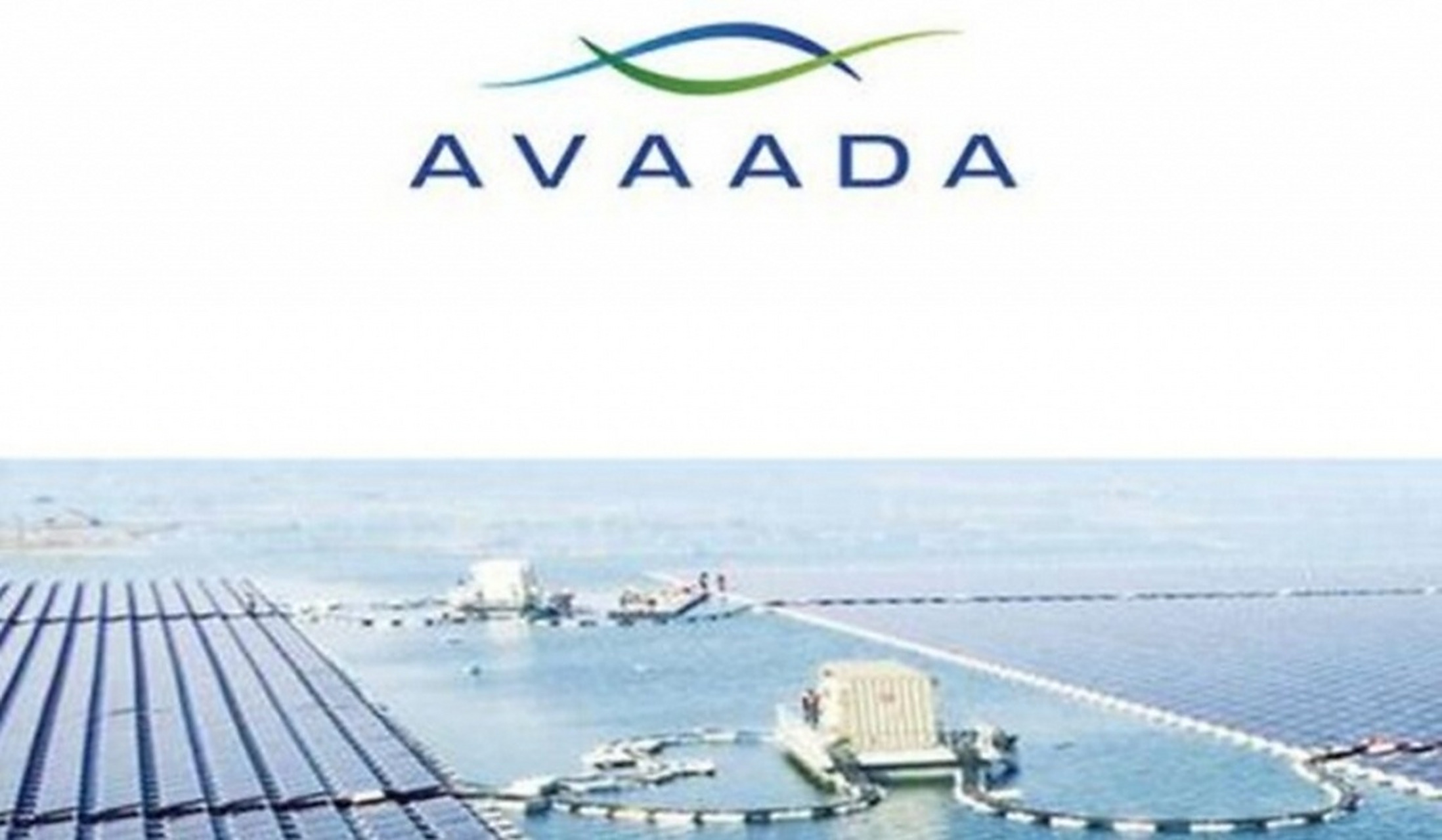 包含ADA-艾达币交易所投资的词条 包含ADA-艾达币交易所投资的词条